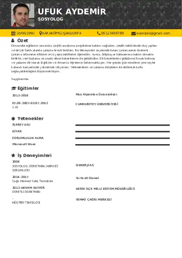 Sosyolog Cv Örnekleri cv indir